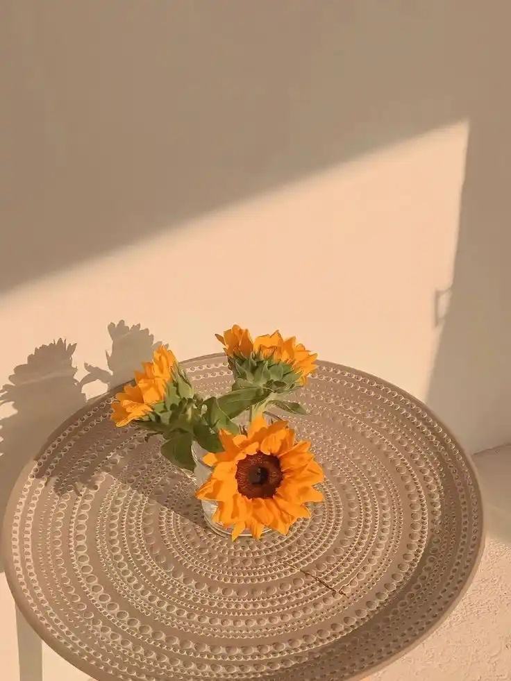 @zzcseo+2025最新蜘蛛池_问题解决实操指南_旗舰版v60.11.75安卓免费版V18.46.46下载